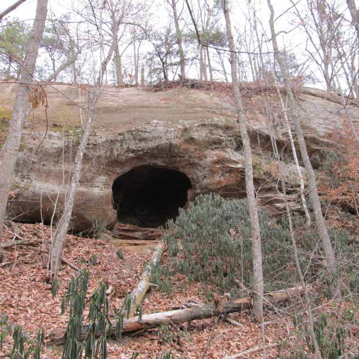 Near Sand Gap Trail