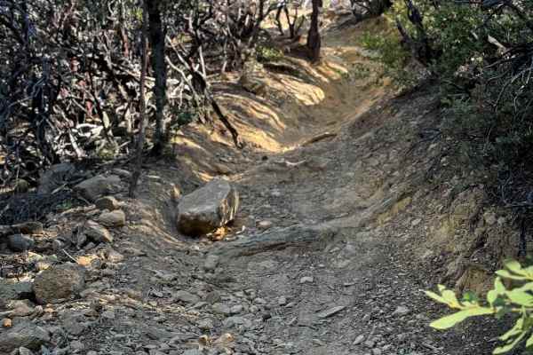 Trail 4-2 (11E25) 