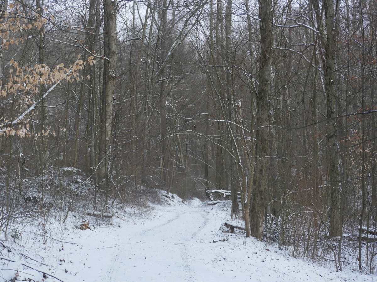 Trail 29 photo 6
