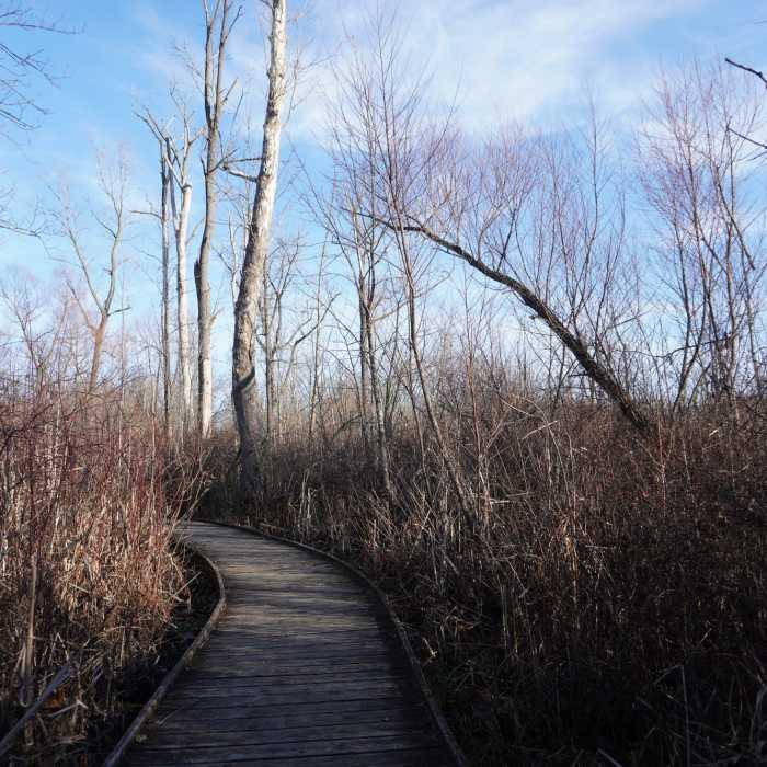 Near Sage Meadow Loop