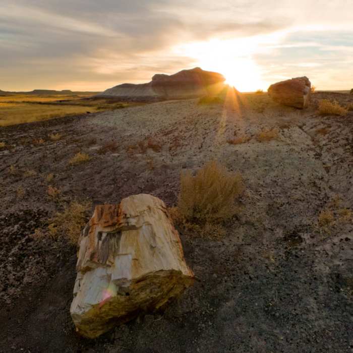 Near Crystal Forest Trail