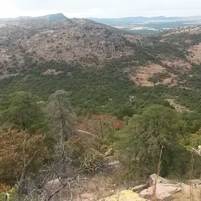Mount Scott Near Mount Scott Service Road