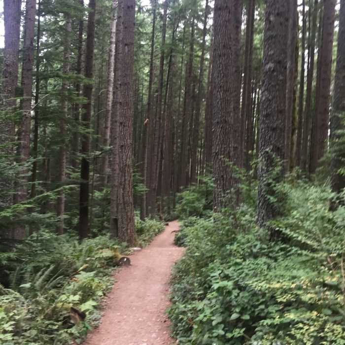 Near Cable Line Trail