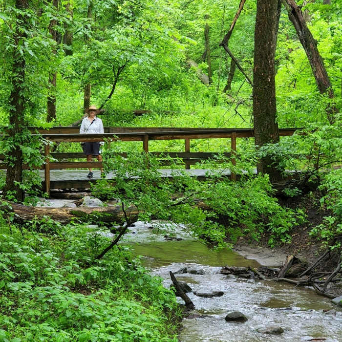 Near Hiking Club Route