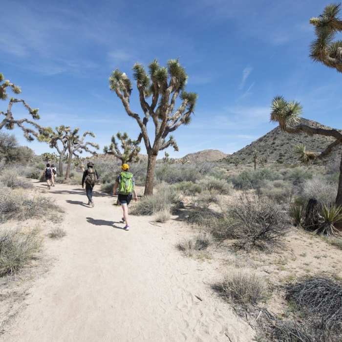 Near Wall Street Mill Hike