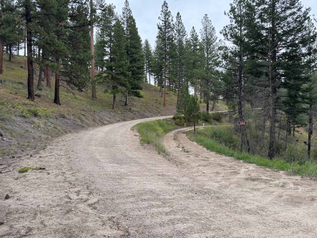 Upper Pierce Creek photo 2