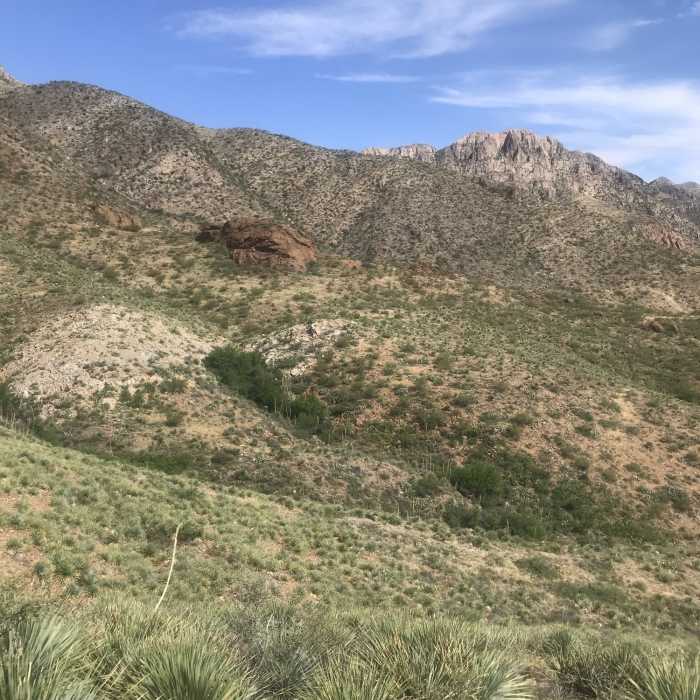 Near Spring View Spur
