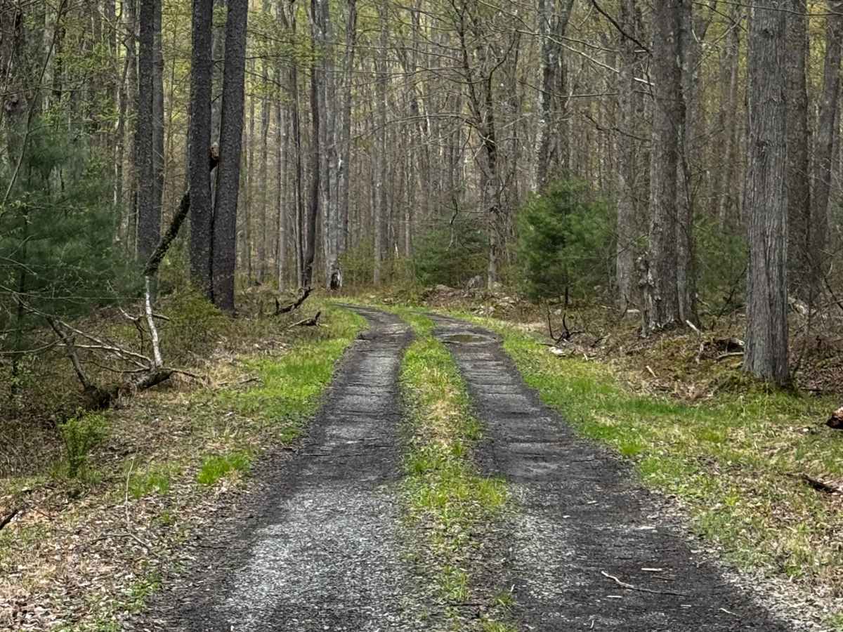 Grade Road photo 4