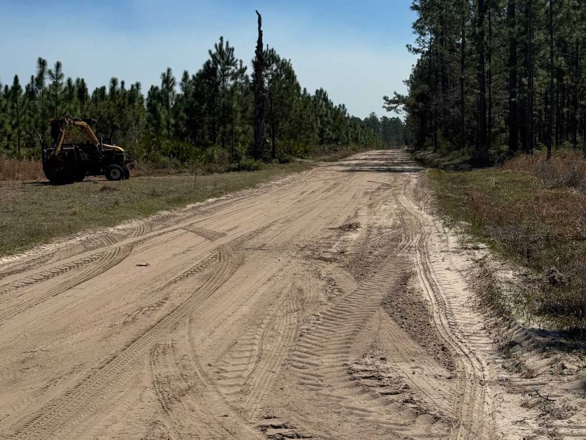 Sansavilla Road trail photo