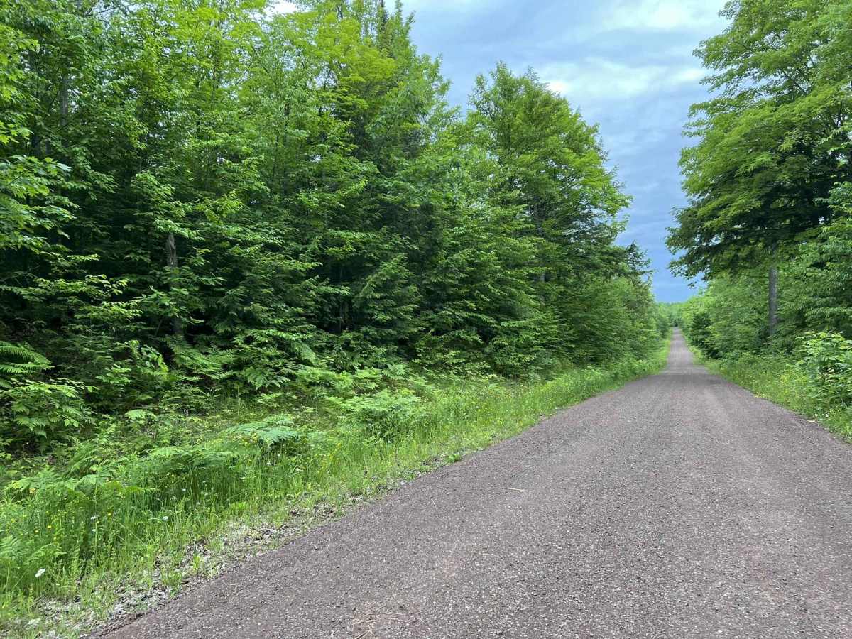 FDR400 photo 3