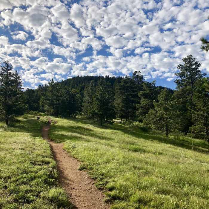 Looking SE towards Realization Point and Flagstaff Road. Near Tenderfoot Trail