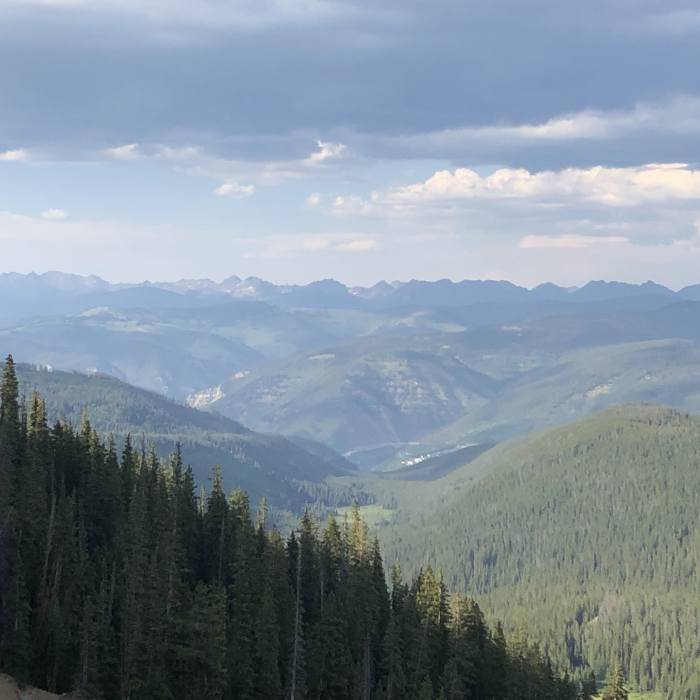 Near Fall Creek Trail #2001