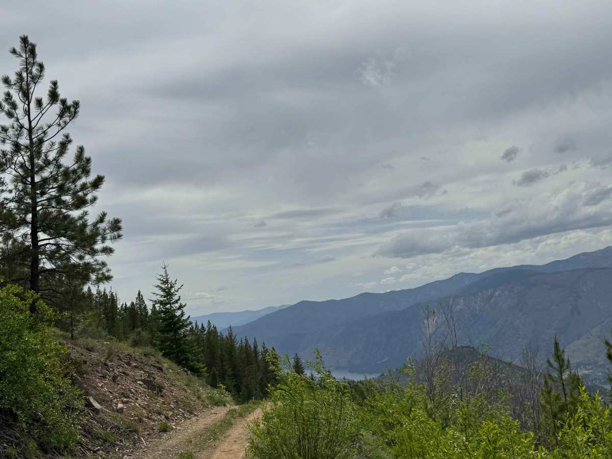 Johnson Creek Road - FS 8213 photo 6