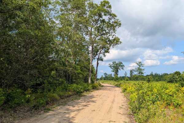 Indian Road