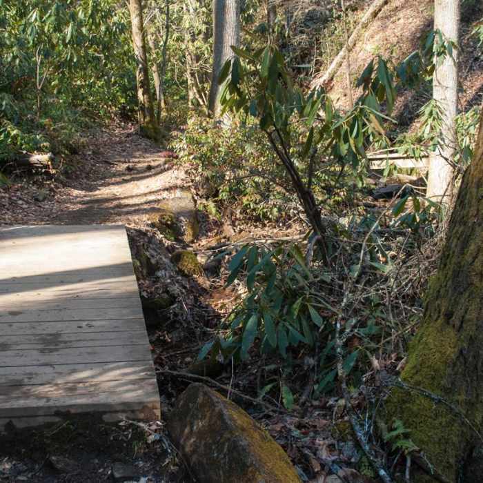 Near Looking Glass Rock Hike Near Looking Glass Rock Hike