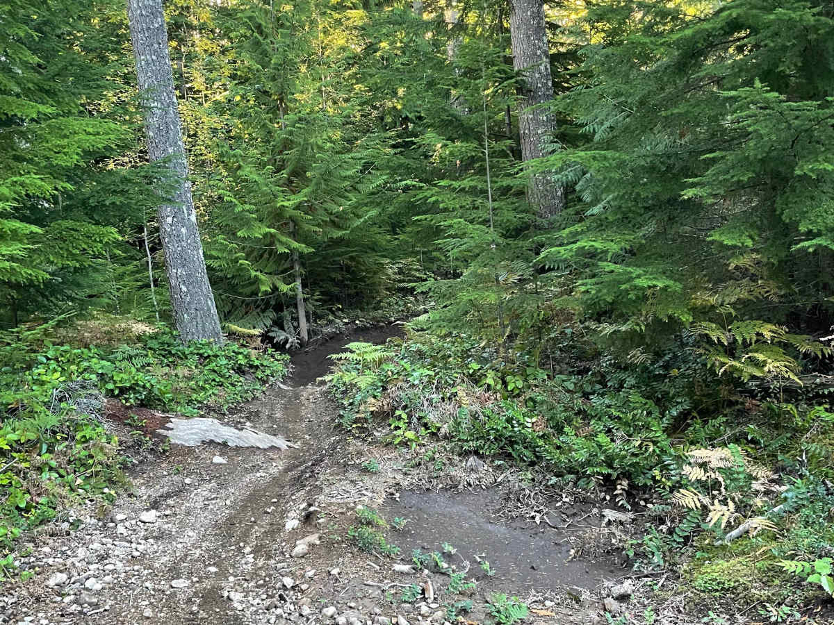 Hayden's Trail Connector photo 3