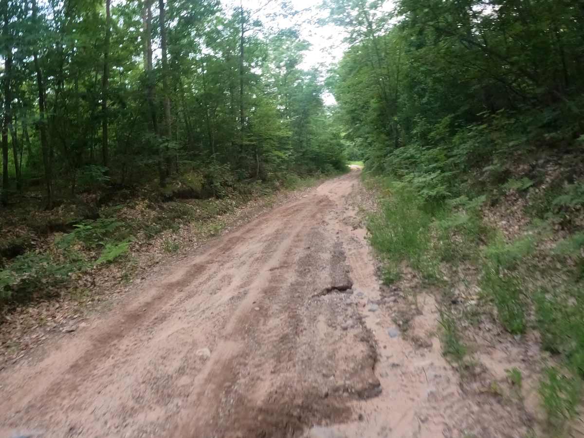 East Evart  photo 5