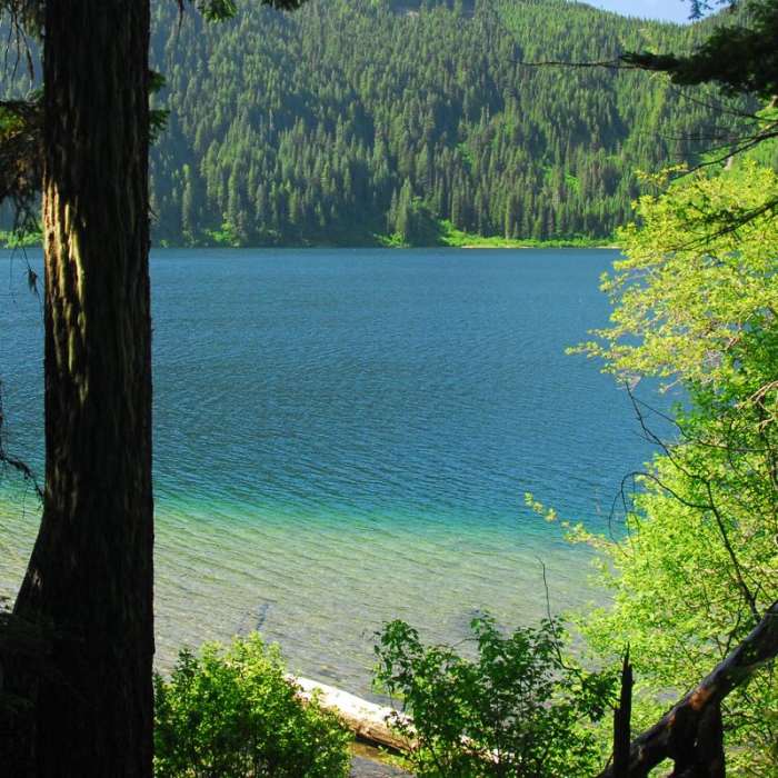 Near Nannie Peak/PCT Loop Hike