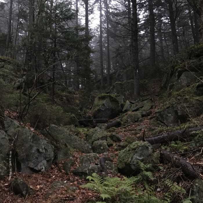 Near Sunapee-Ragged-Kearsarge Greenway:  Section 9