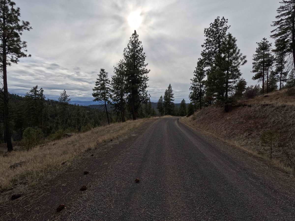Wheeler Point - FS 25 photo 6