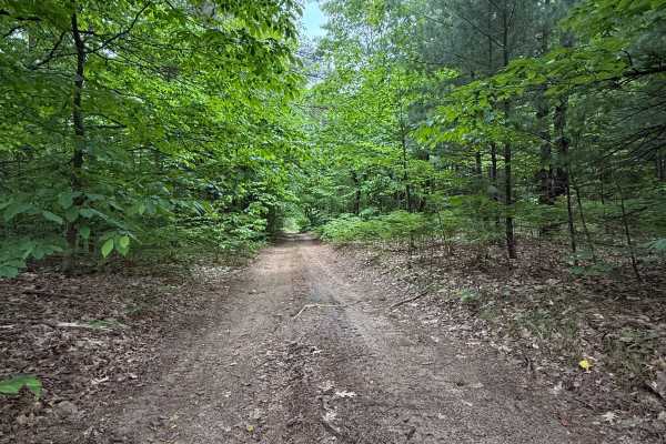 Island Lake North Trail