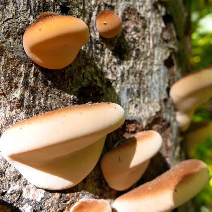 Near Blacklick Woods Metro Park