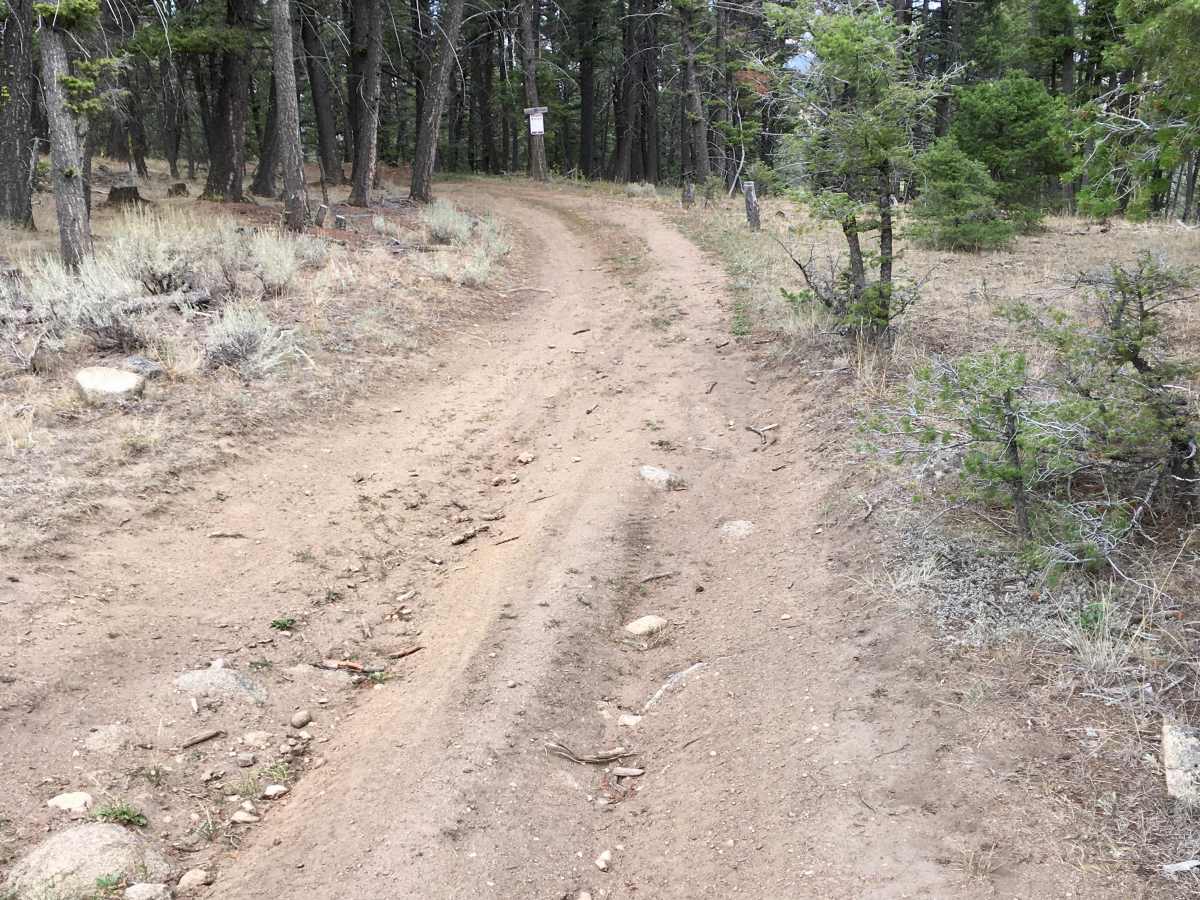 Little Galena Trail trail photo