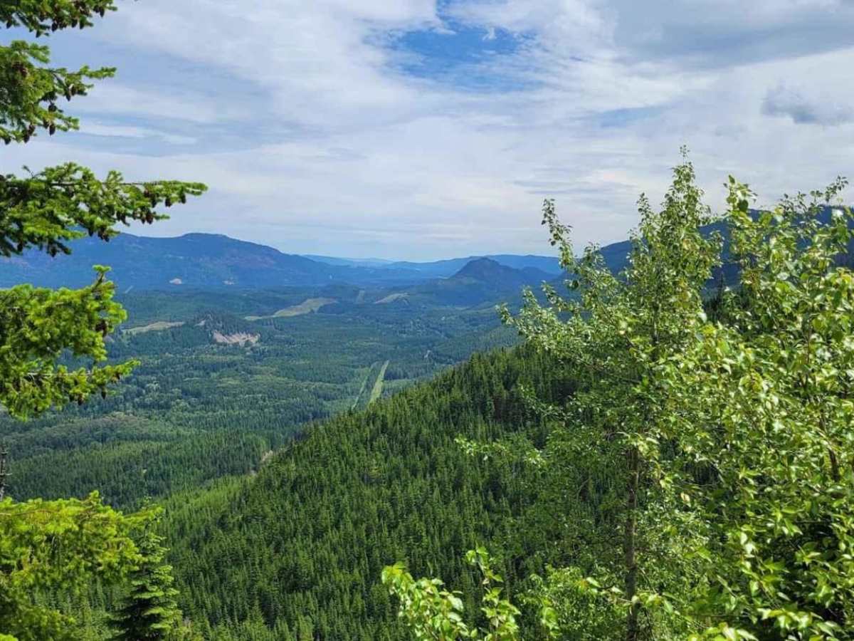 Cabin Creek Road (NF-41) photo 3