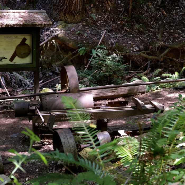 Near Fall Creek Trail