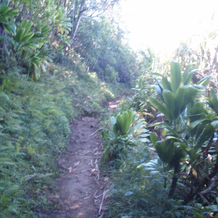 Near Kalalau to Hanakapia'i Beach Near Kalalau to Hanakapia'i Beach