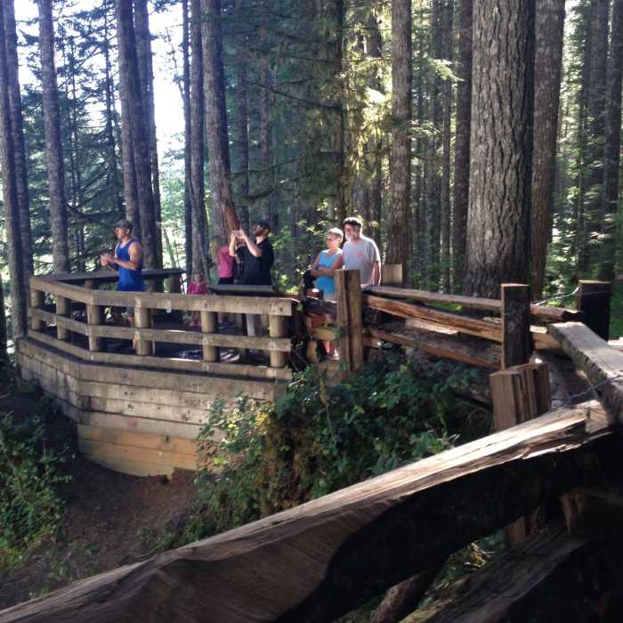 Near Lewis River Trail #31