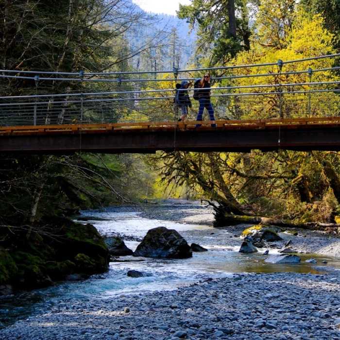 Crossing the North Fork of the Skokomish River in Olympic National Park Near Staircase Rapids Nature Trail