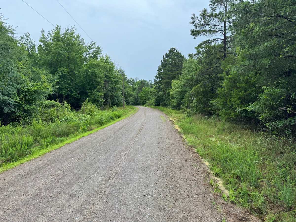 Ryan Road photo 2