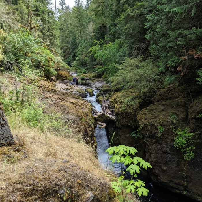 Waterfall with stump feature off the Deschutes River. Near Deschutes Falls Park