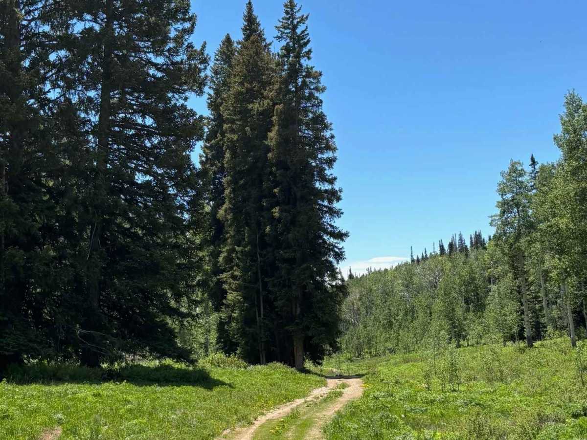 Buttermilk Road photo 6