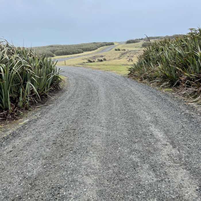 Near Curio Bay Track Near Curio Bay Track