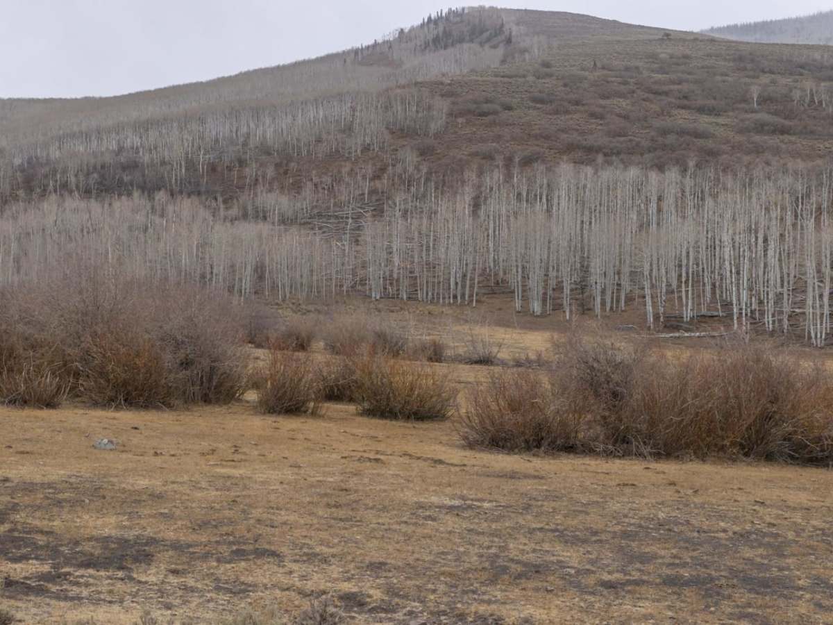 Little Lost Creek trail photo