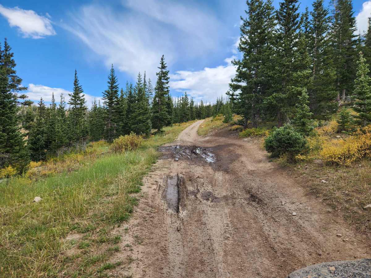 Island Lake Campground - FS 50136 photo 4