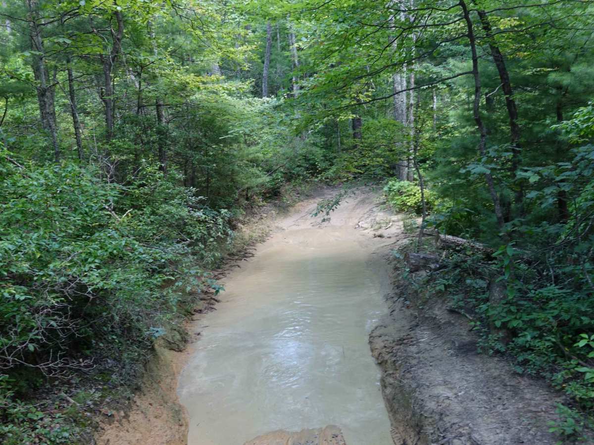 Shad Road trail photo