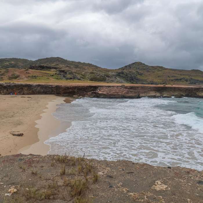 Near Blackstone Beach Trail Near Blackstone Beach Trail