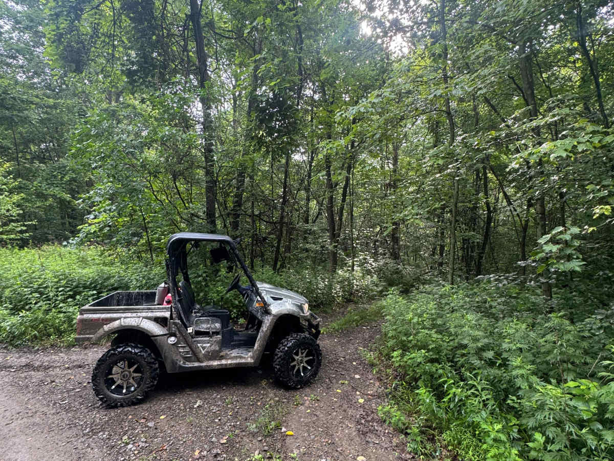 Trail 56 trail photo