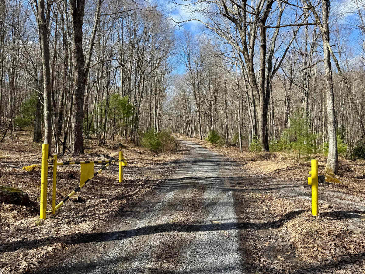 Shintown Run Road photo 2