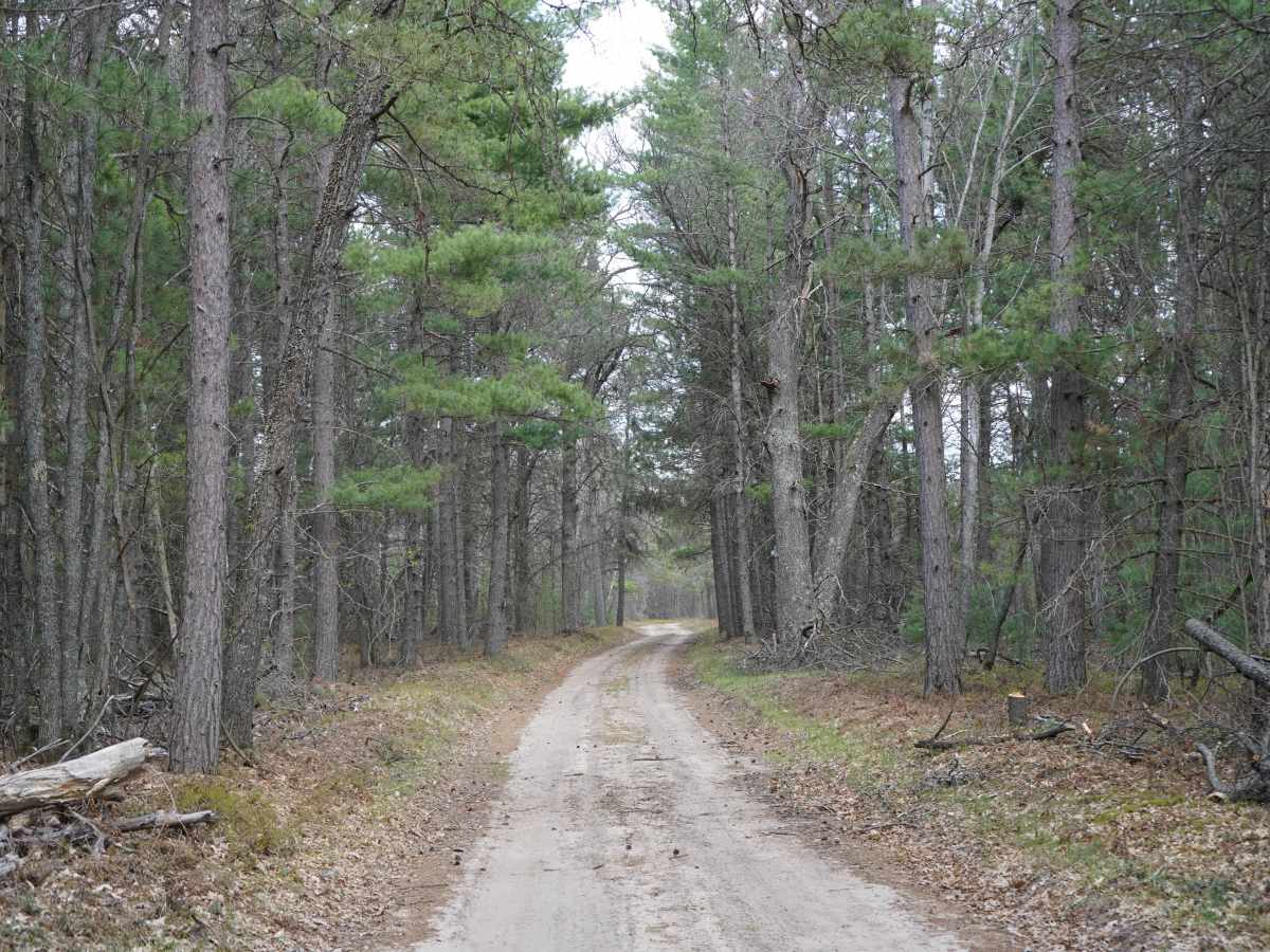 Maybee-Robinson Lake Road photo 5
