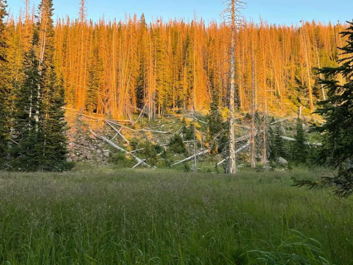 Gardners Fork photo 5