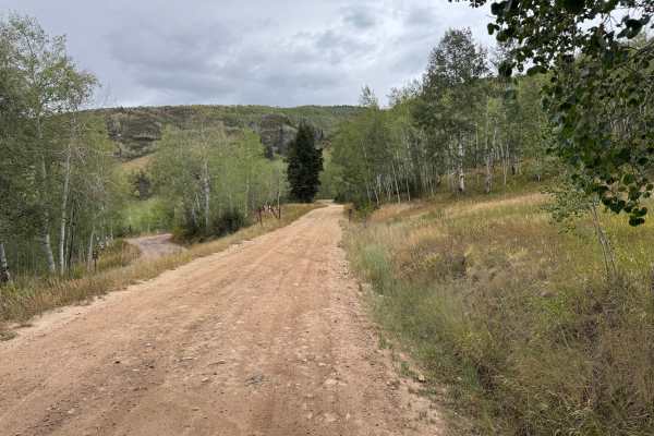 Lenado Road