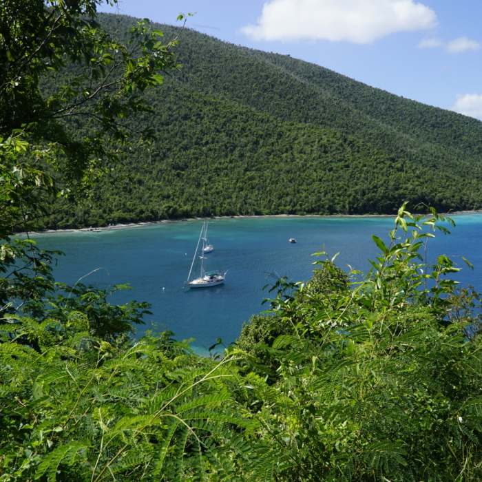 View of Leinster Bay from the trail to the ruins. Near St. John Trail Tour