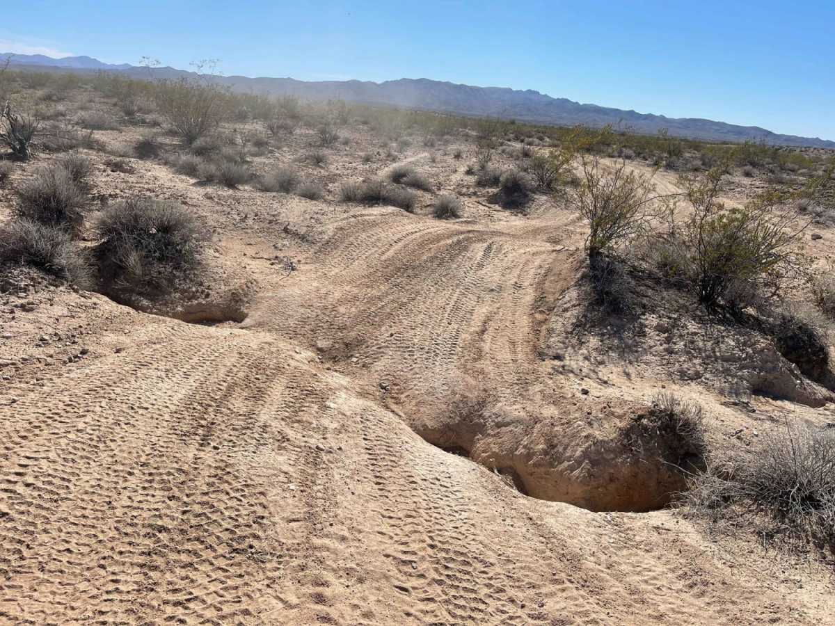 A Loop Into the Desert photo 3