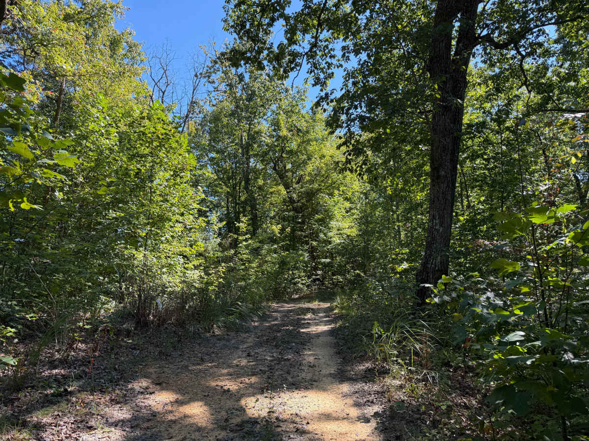64 trail photo