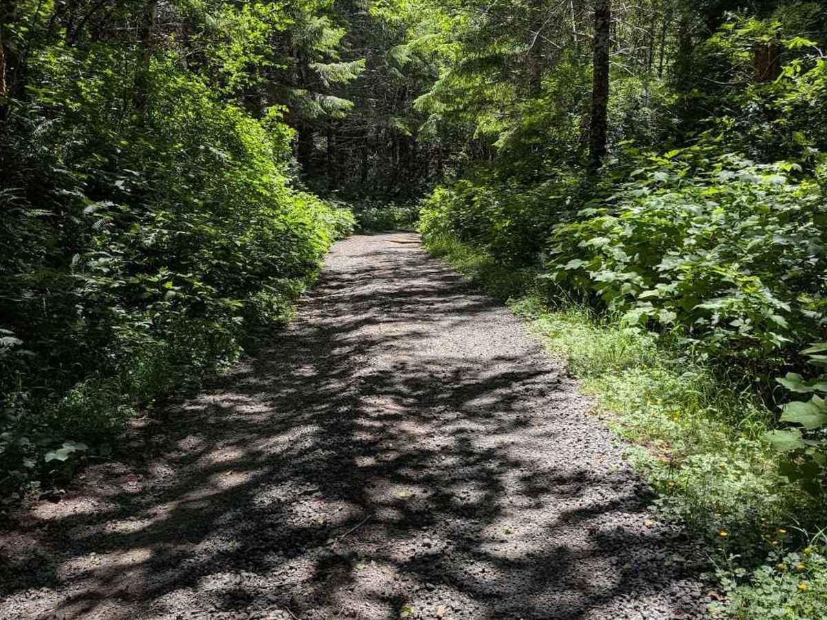 FS 5360 trail photo