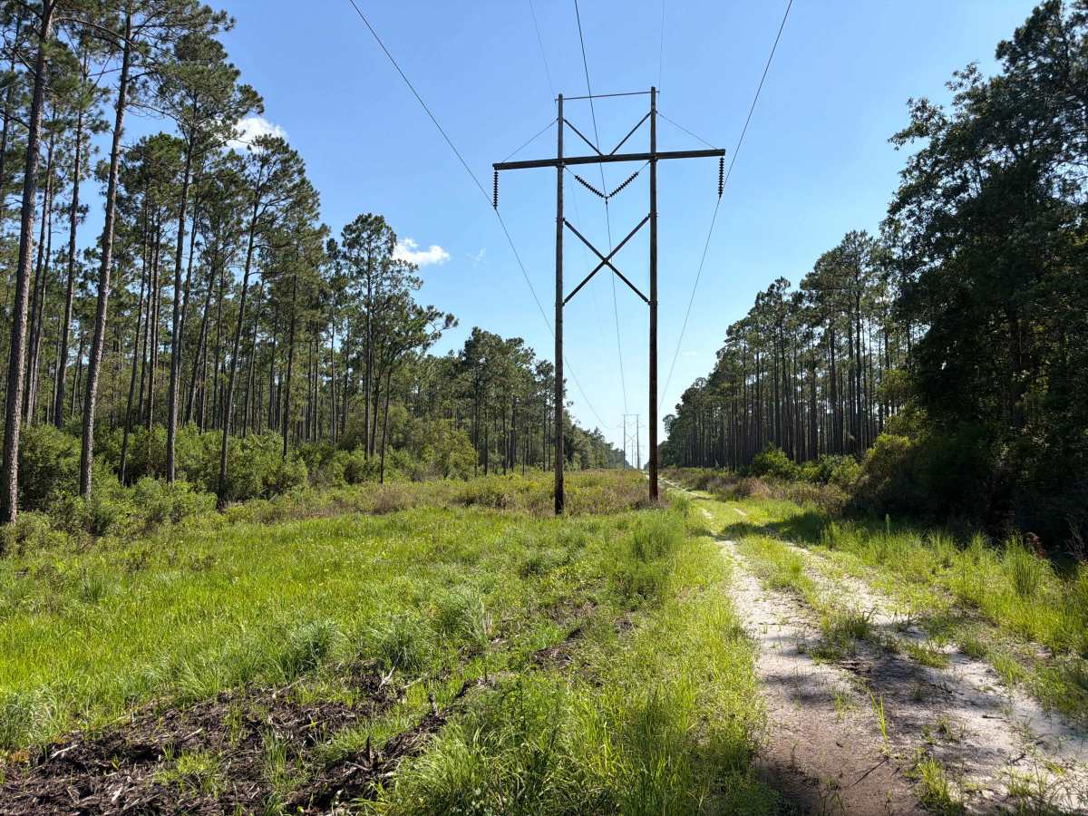 Powerline - FS 341A photo 5
